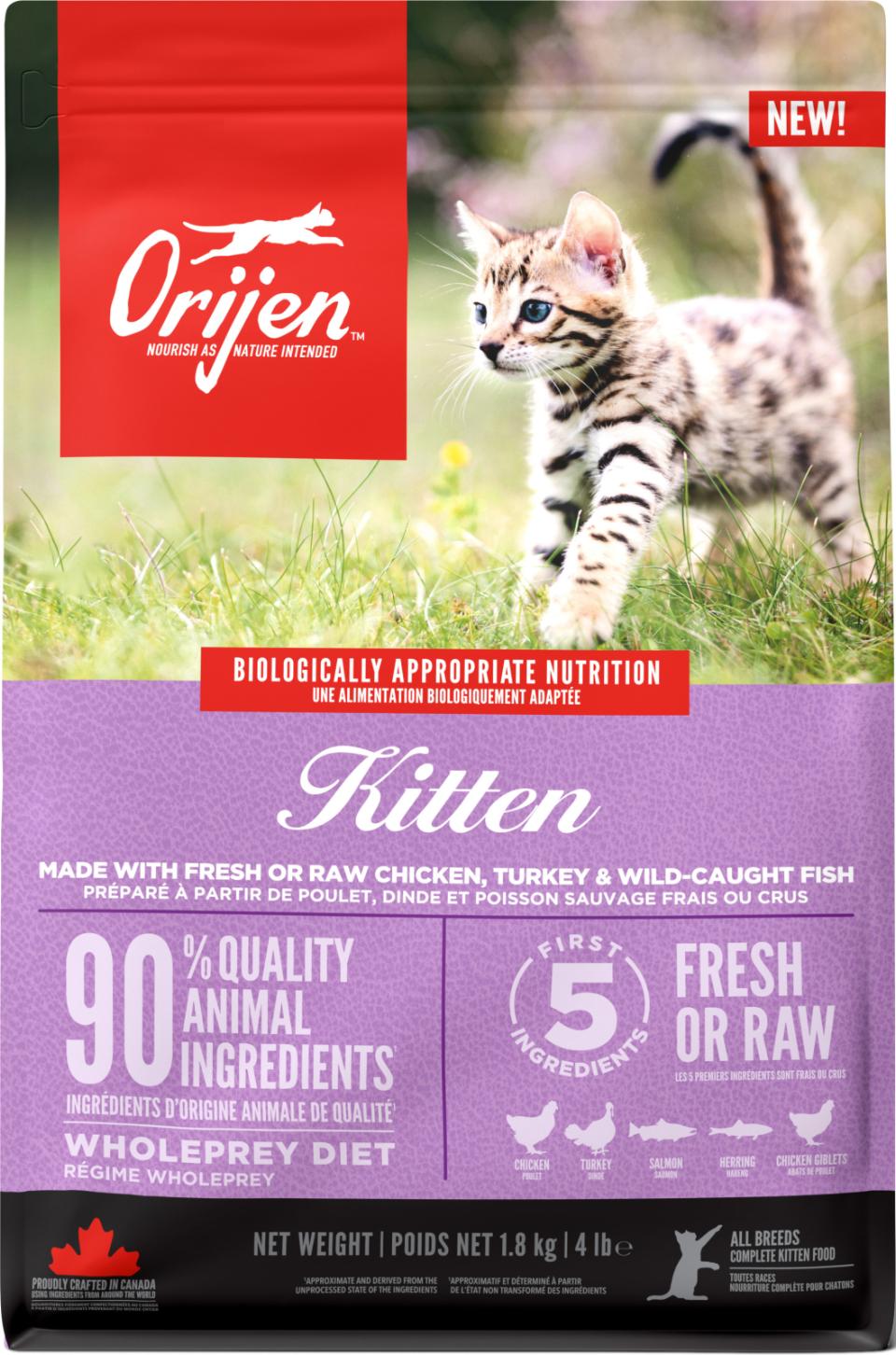 ORIJEN CAT Kitten