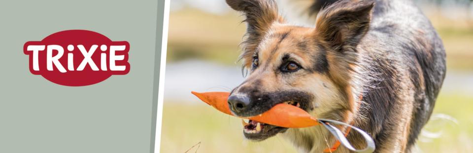 Magnet skilt t. Tego reol hundetræning