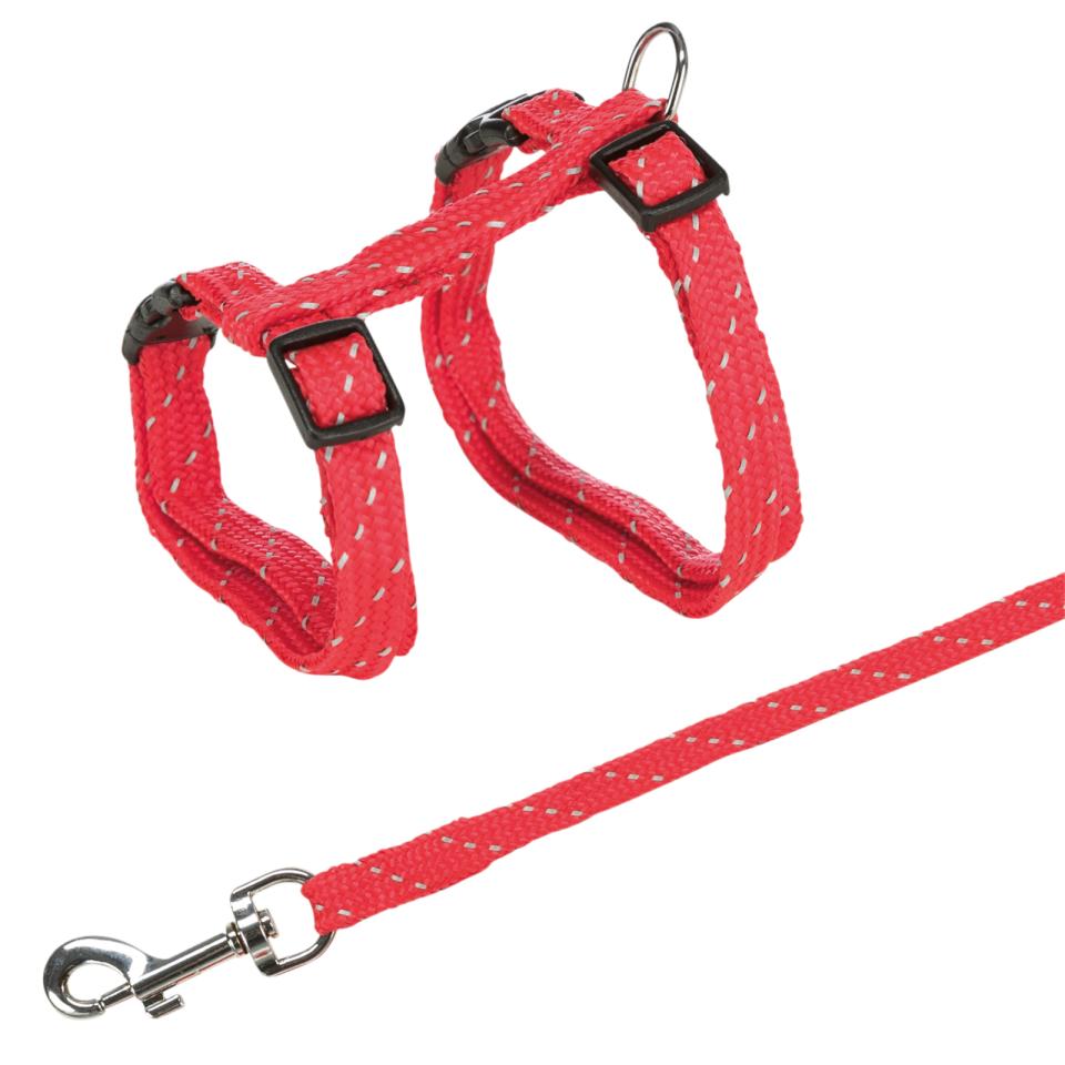 Harness with Leash, Reflecting