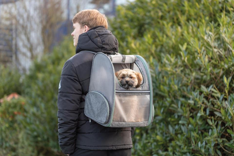 Trixie Chloe backpack