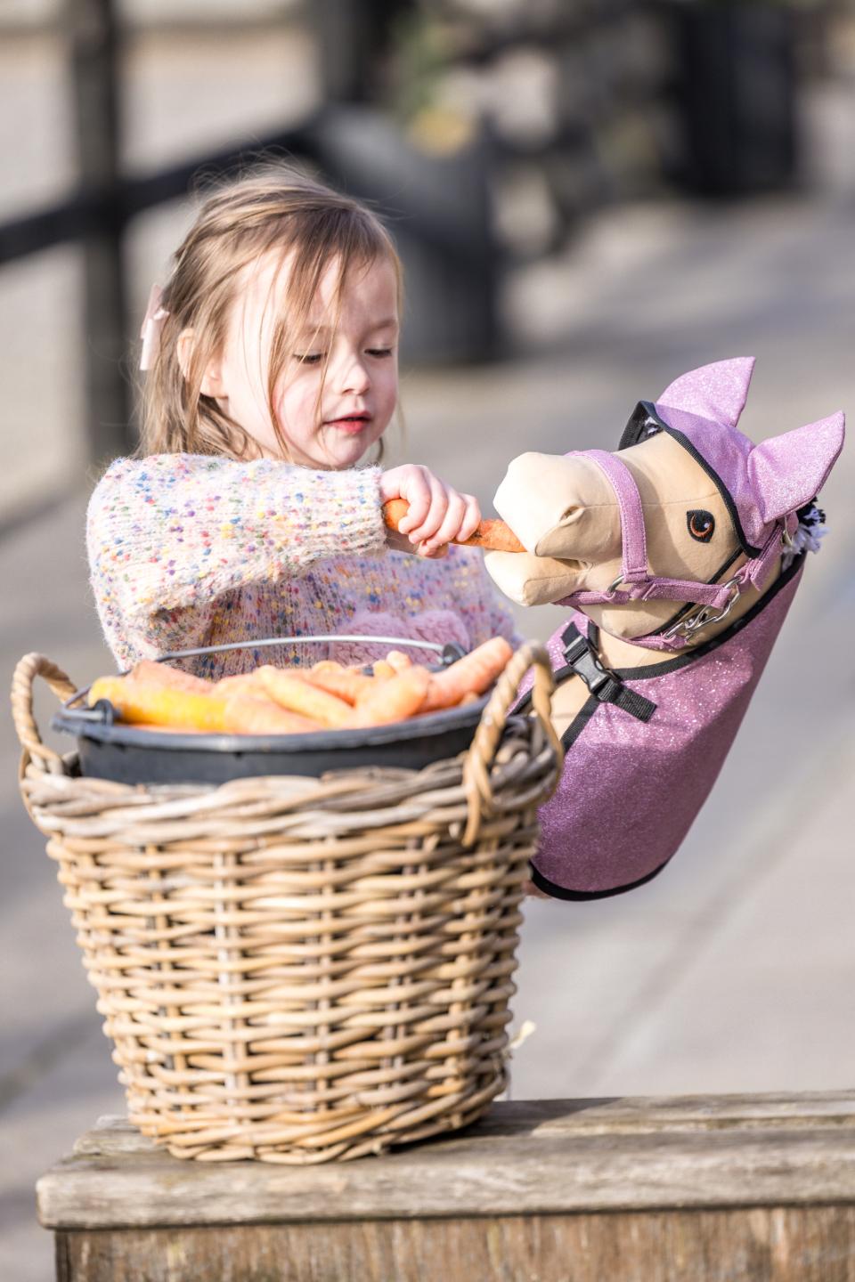 My Hobby Horse Decke & Fliegenhaube, Rosa Glitzer