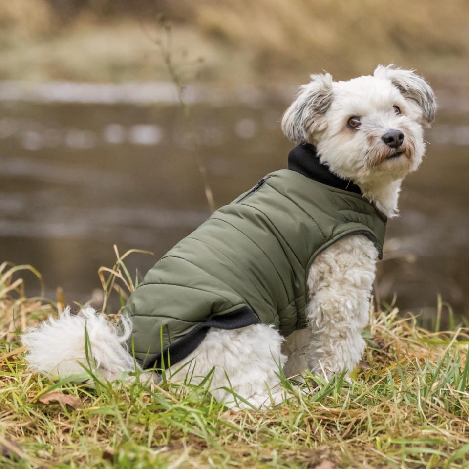 Trixie Arlay Hunde jacke