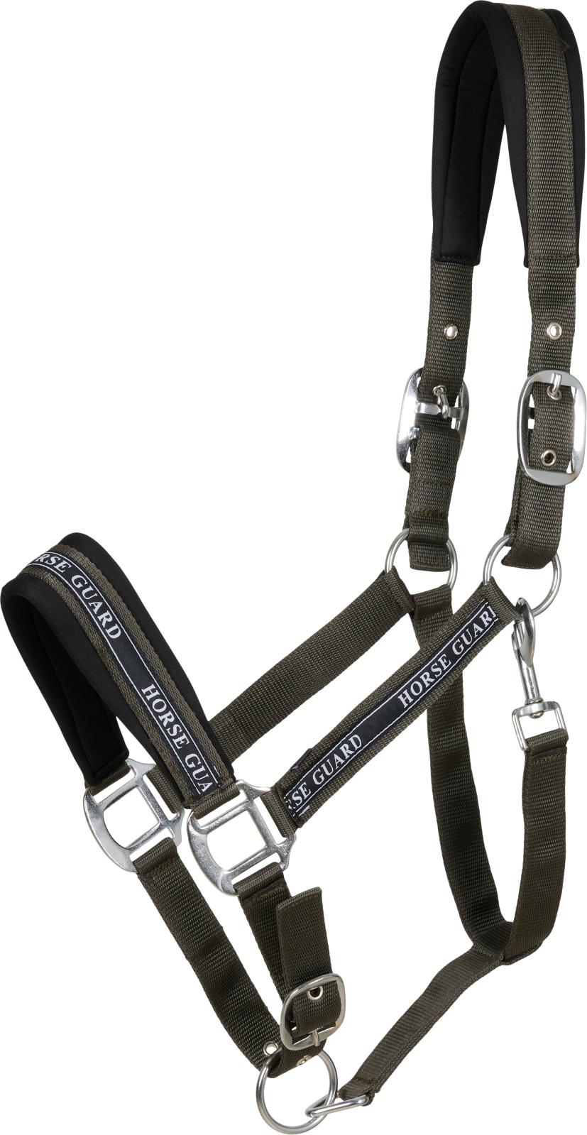 HorseGuard Maison grime