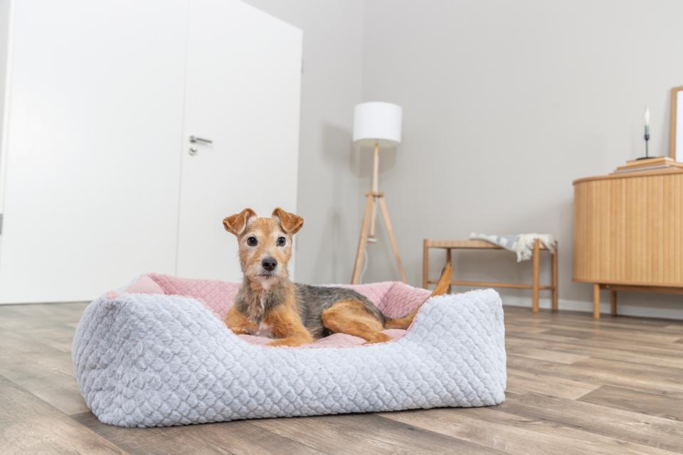 Trixie Kaline Mio Bed, Rectangular