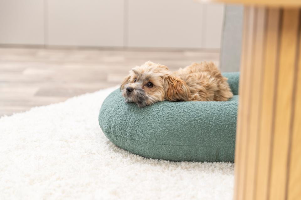 Trixie CityStyle Vital hundeseng