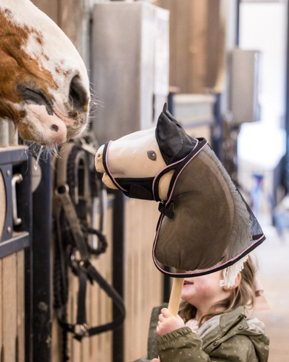 My Hobby Horse Flugtäcke