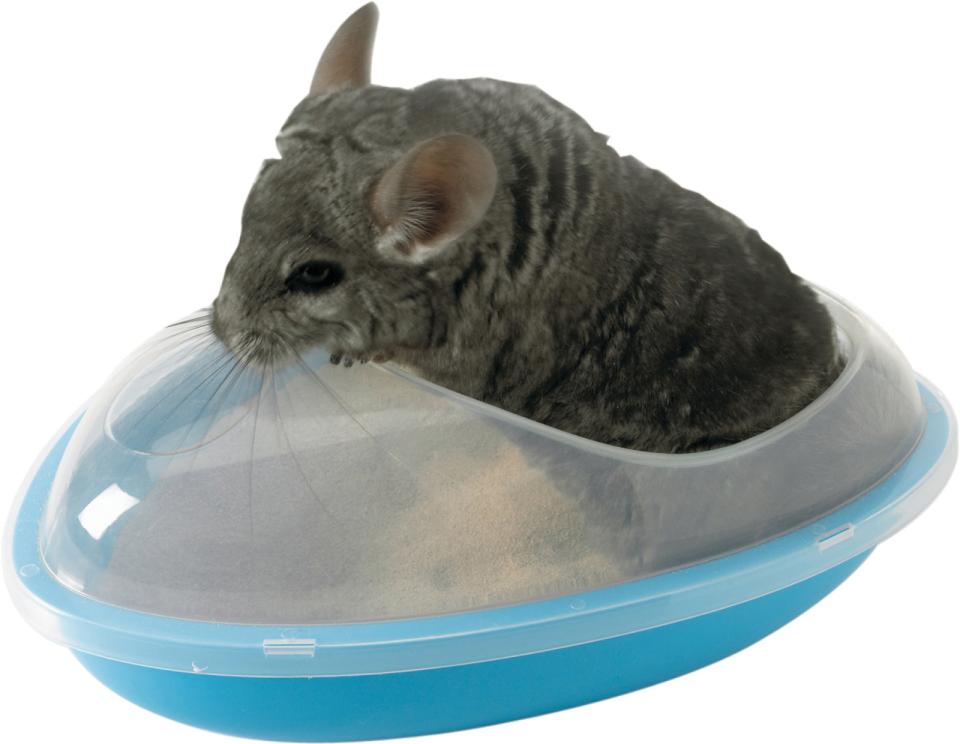 Chinchilla Bath
