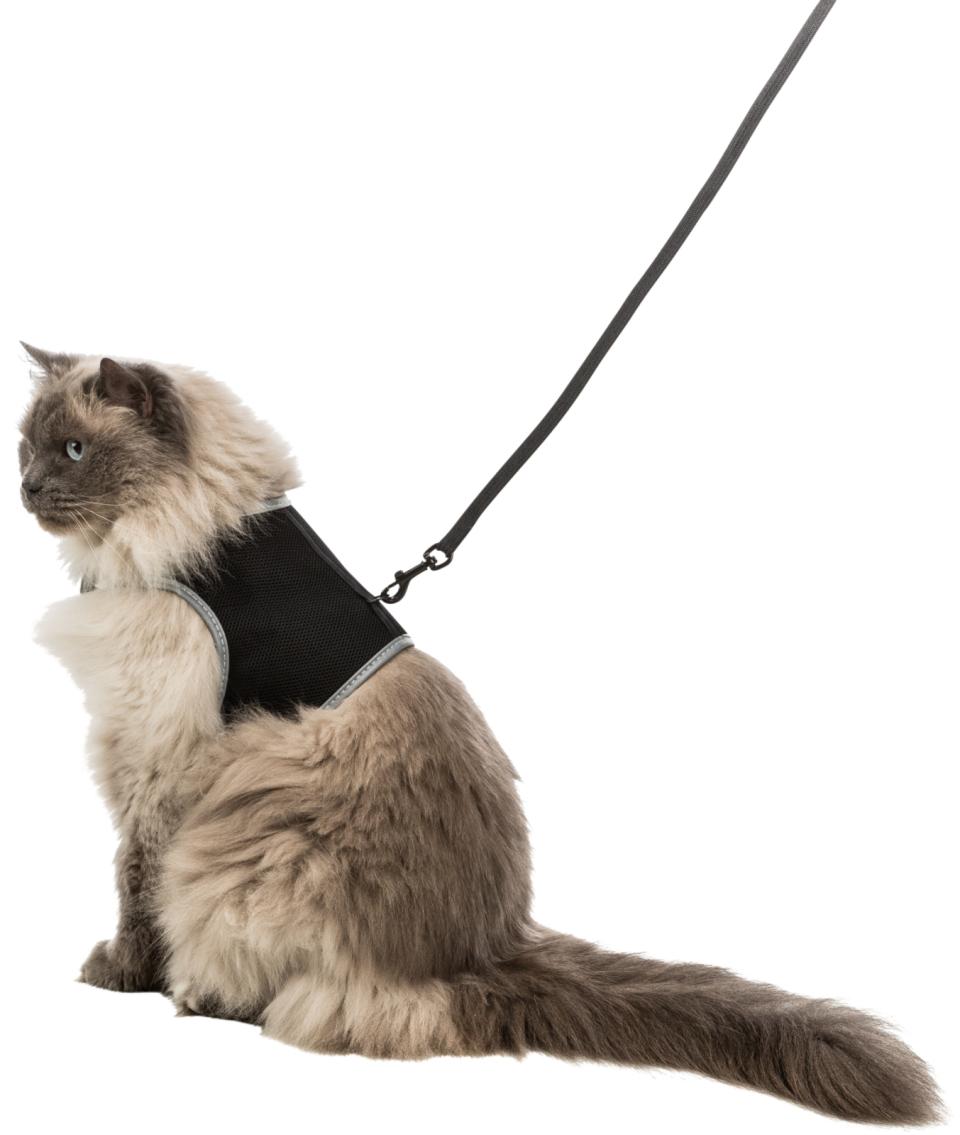 Soft Harness XXL with Leash