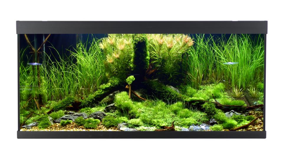 AkvaStabil ELEMENT Aquarium