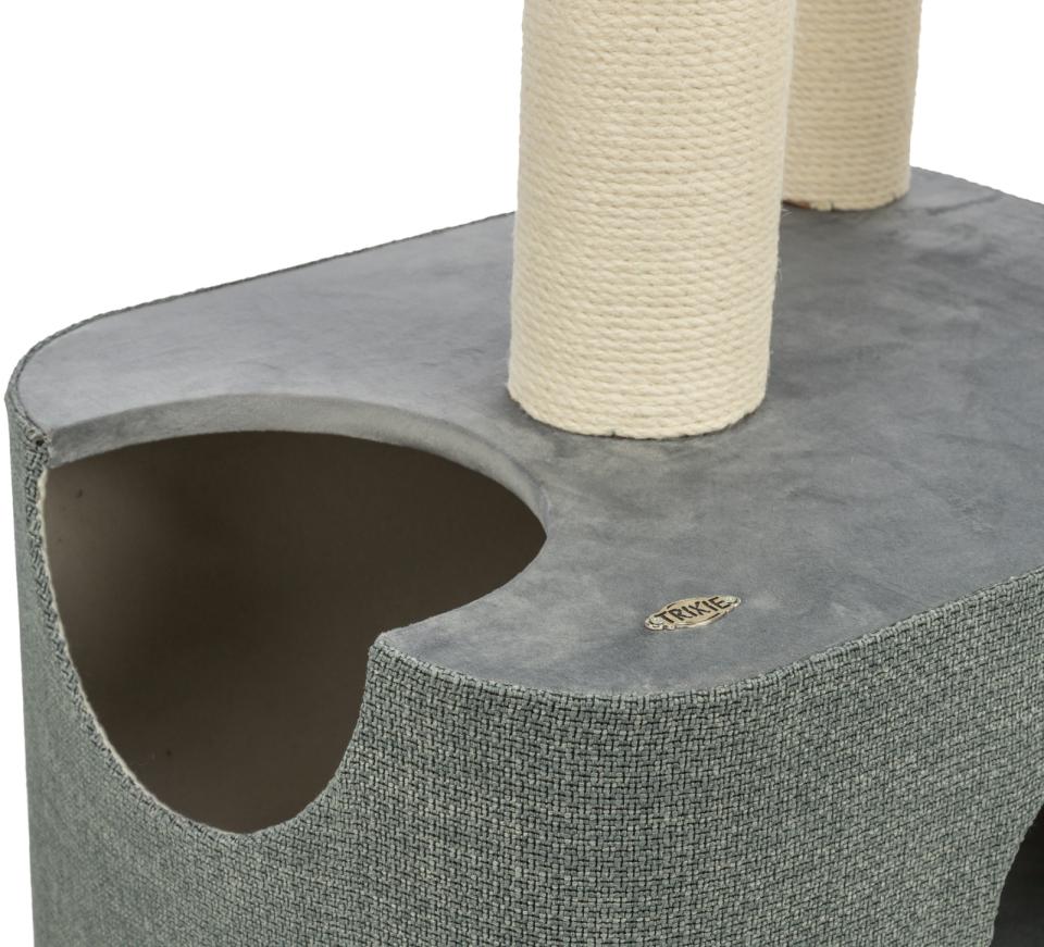 Trixie Viviana scratching tree, square