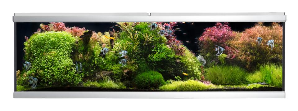 AkvaStabil MOVE aquarium - 720 liters
