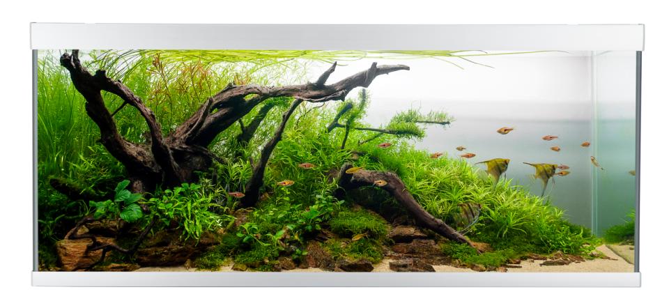 AkvaStabil ELEMENT Aquarium