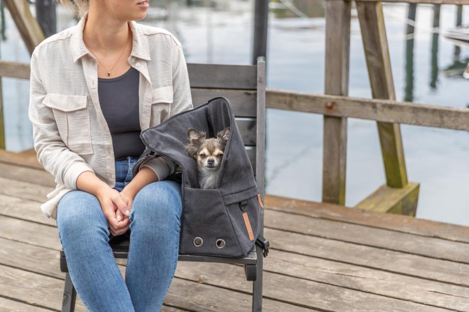 Trixie Bjorn BE NORDIC backpack,