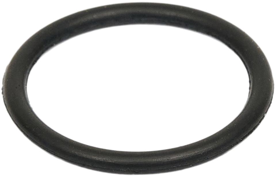 4FISH O-ring t/pumphuvud t/AT39009 (150is)