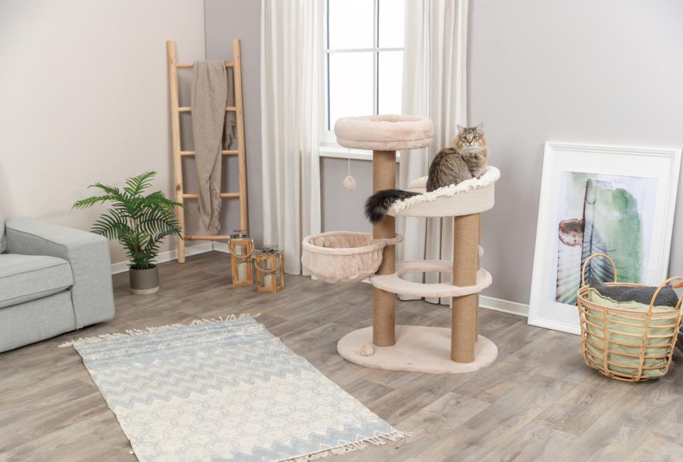 Trixie Boho Fillippo scratching tree