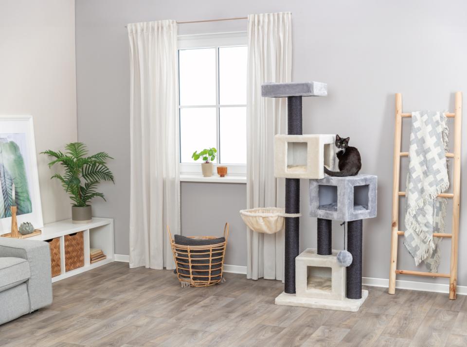 Trixie Enzo scratching tree