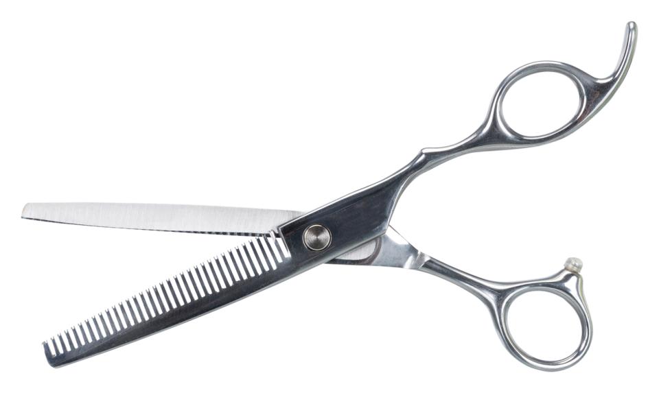 Professional Thinning Scissors