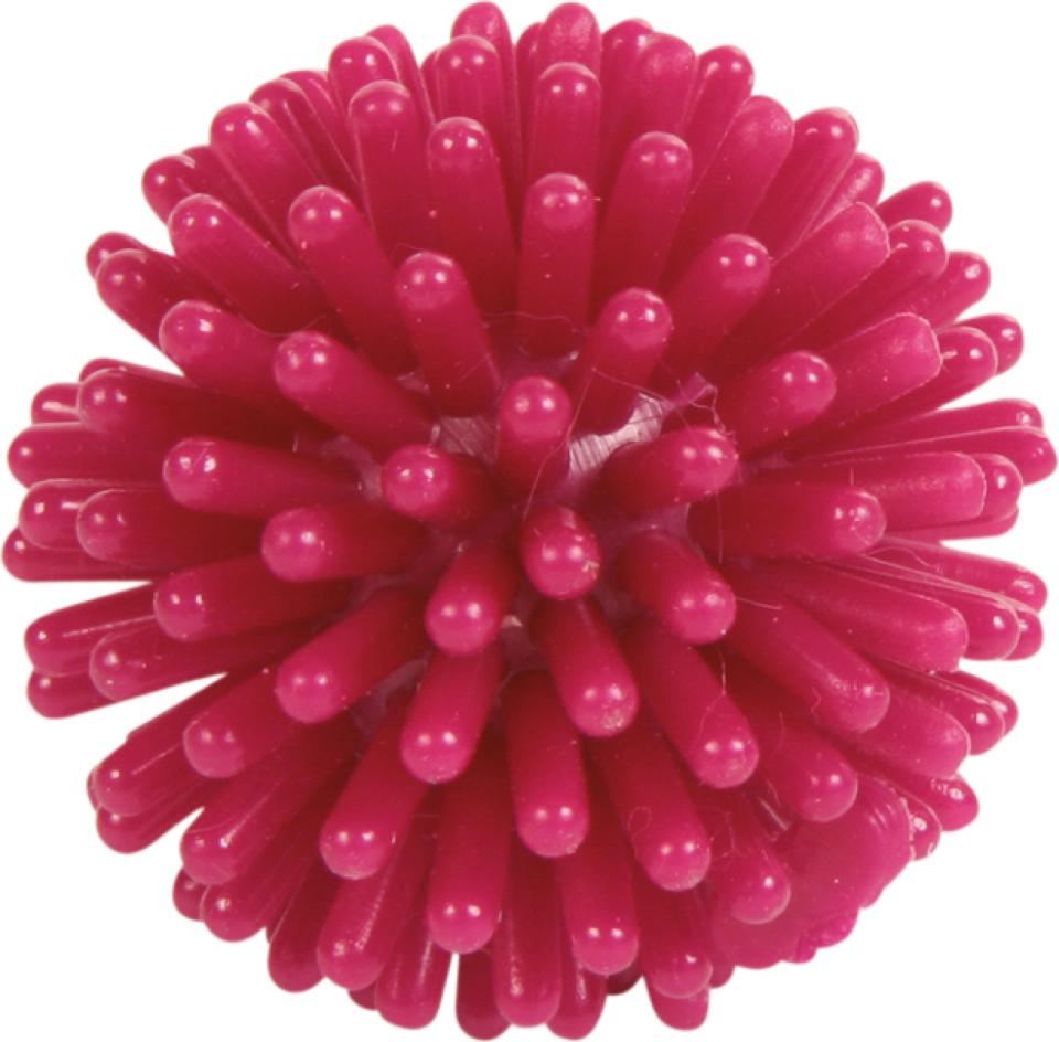 Hedgehog Ball