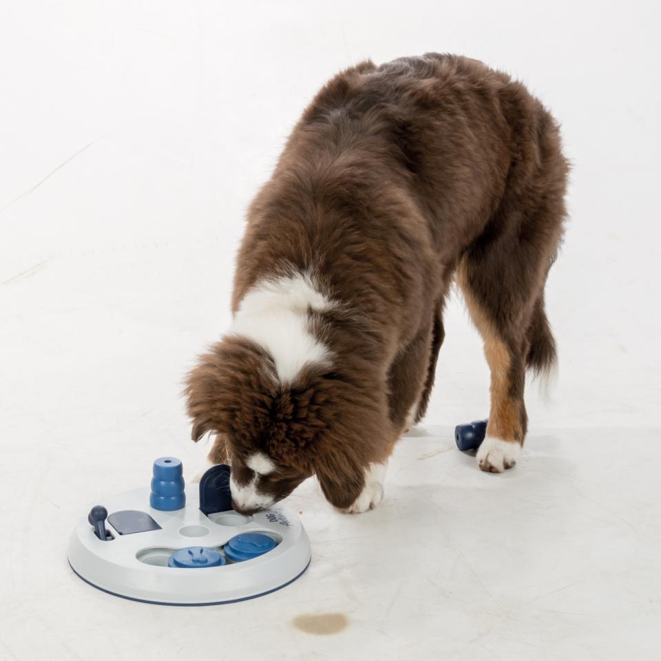 Flip Board Strategiespiel