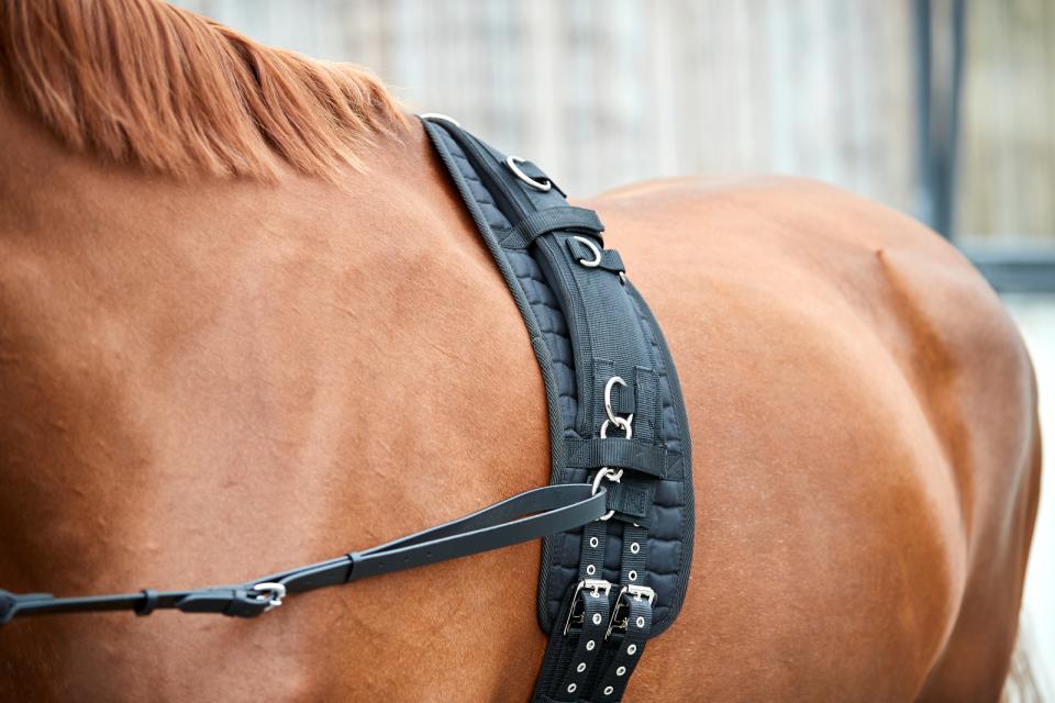HorseGuard Kali longing girth pad