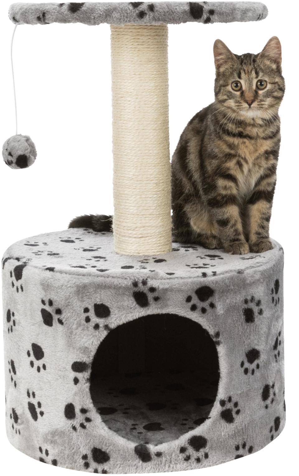 Junior Toledo Scratching Post