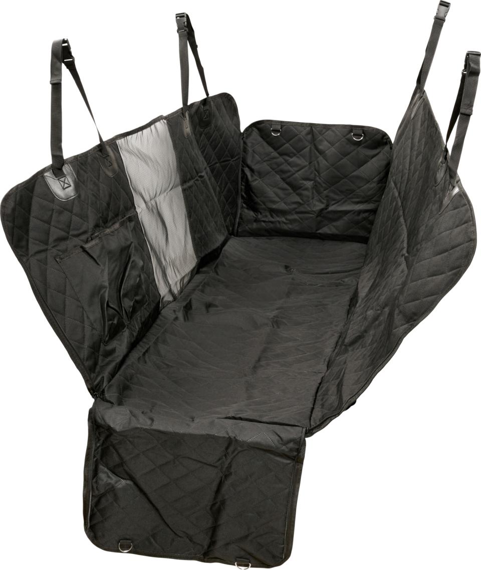 Companion Auto Schondecke