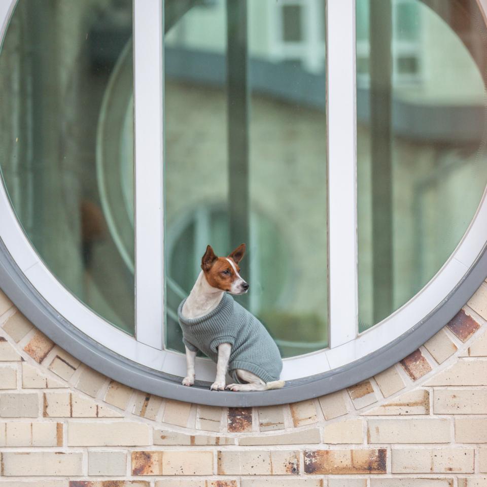 CityStyle Berlin pullover