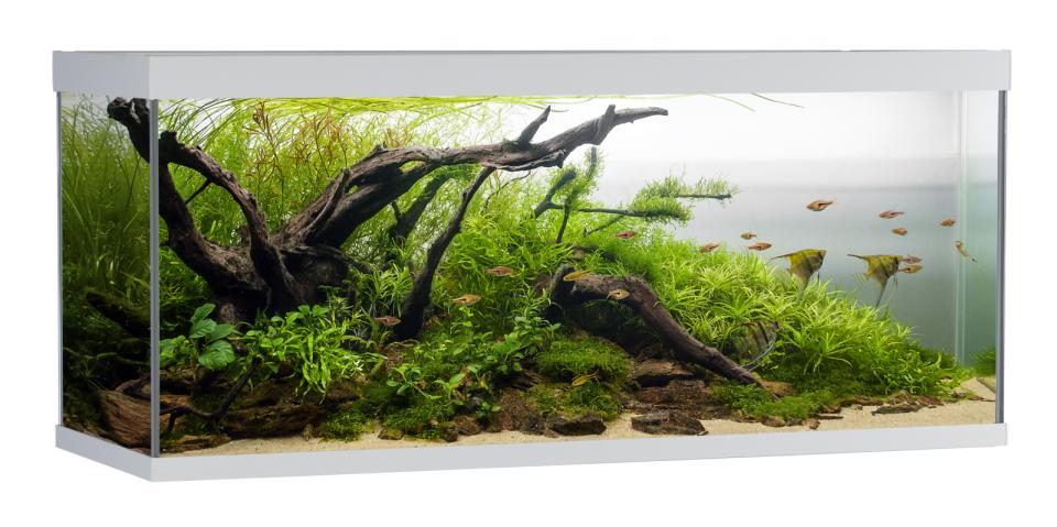 AkvaStabil ELEMENT Aquarium