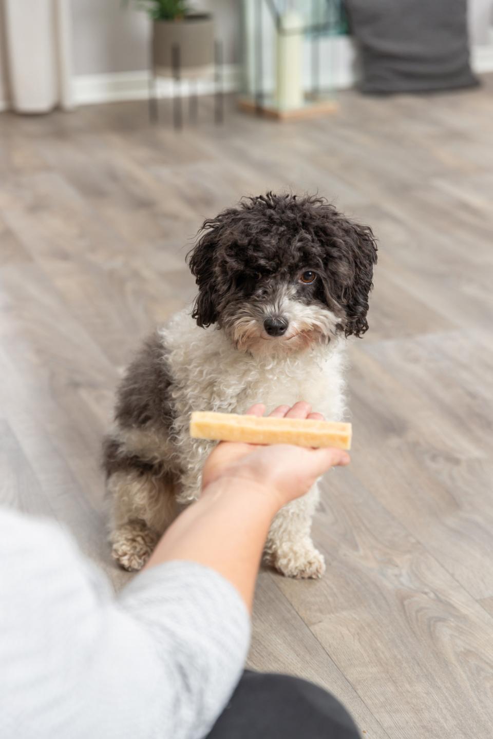 Trixie Kaustangen, Käse