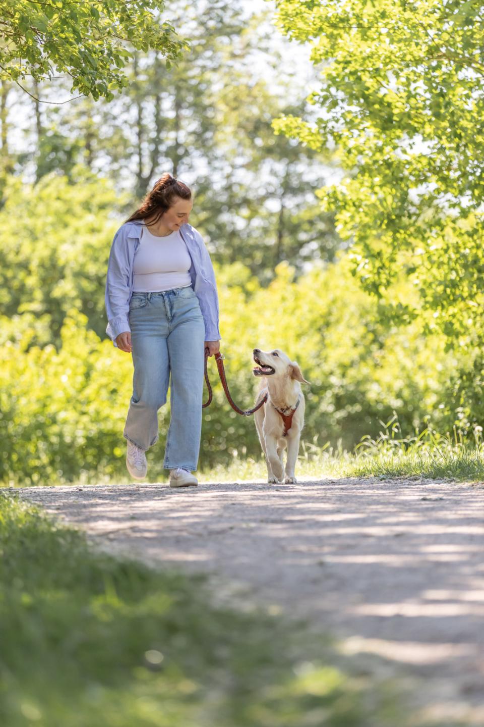 Trixie Premium Active hundesele