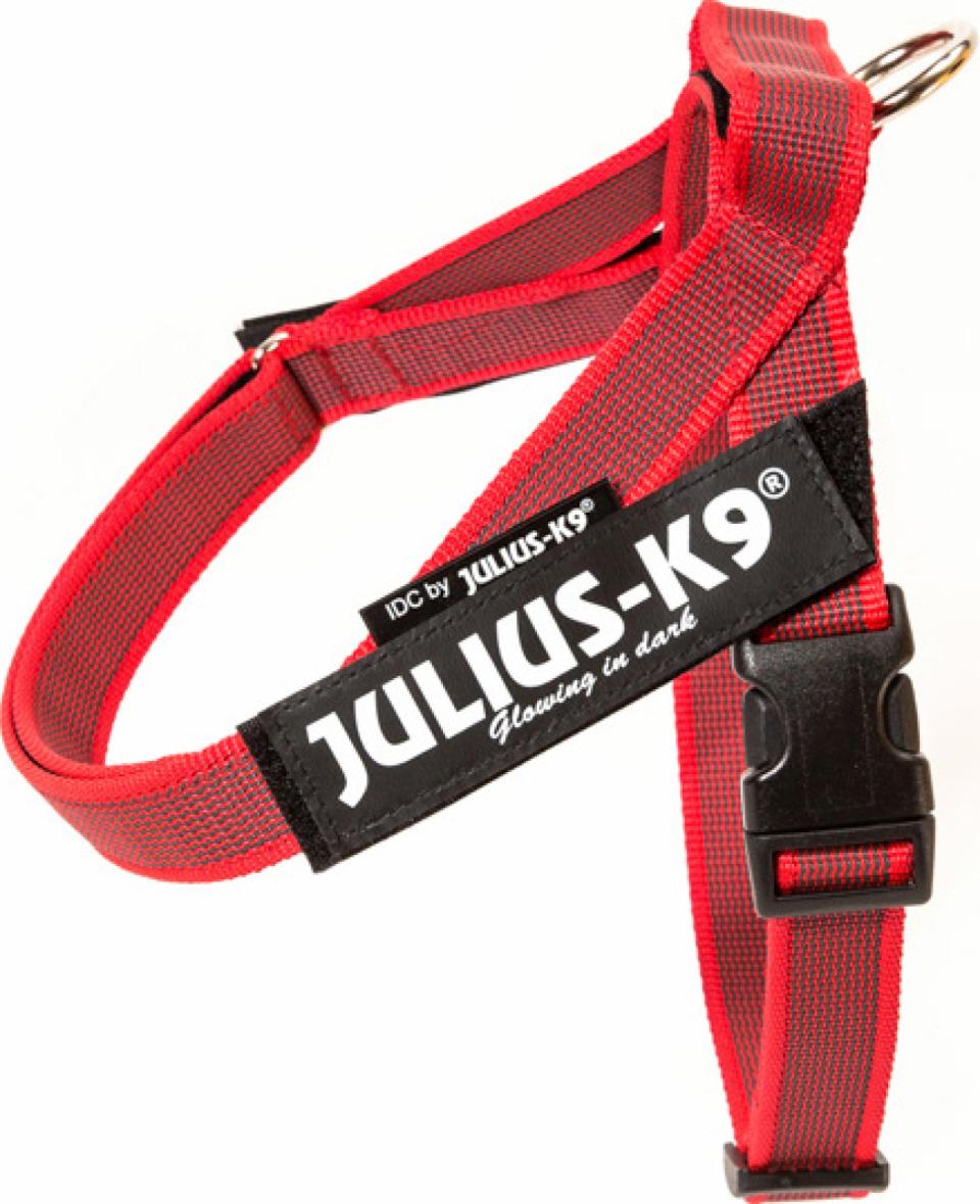 C&G IDC belt harness, 40-53 cm