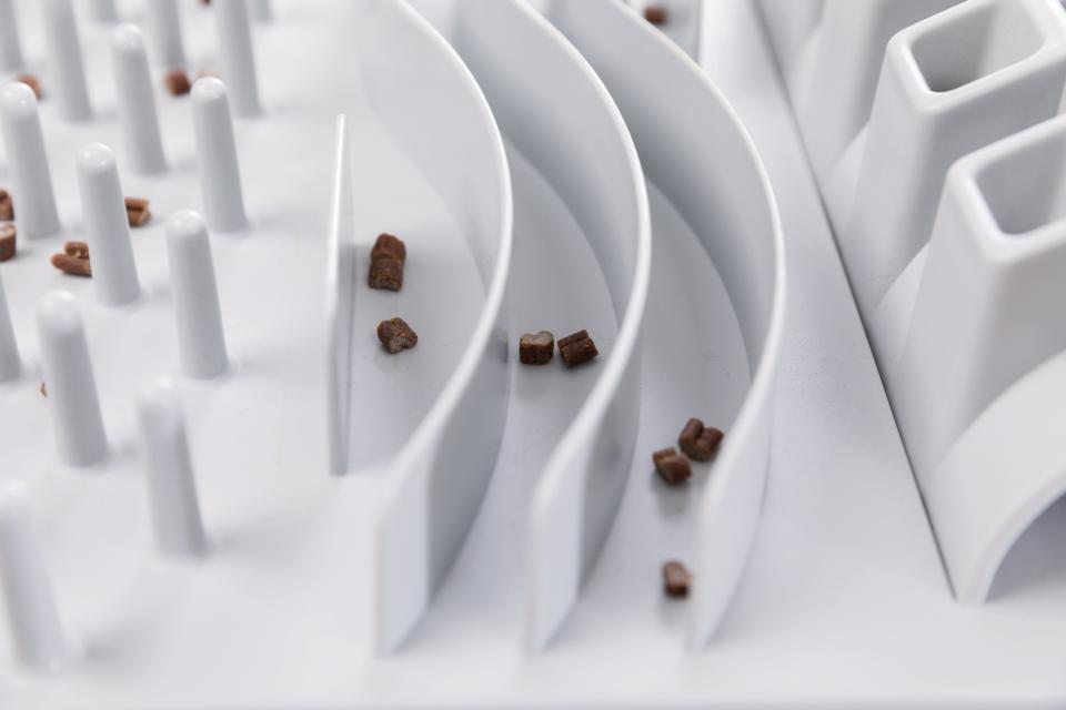 Fun Board Strategiespiel