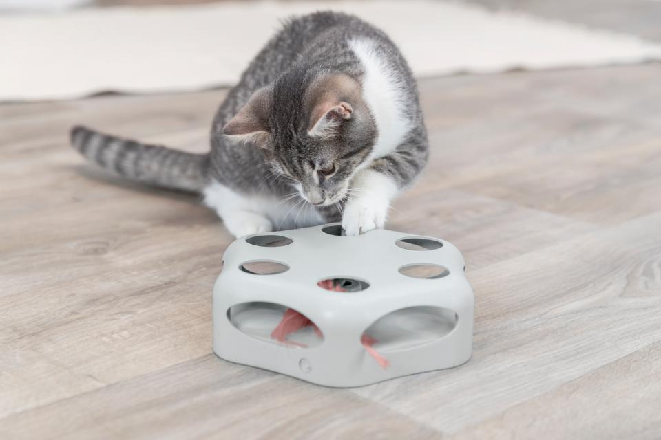 Turning Feather, Kunststoff