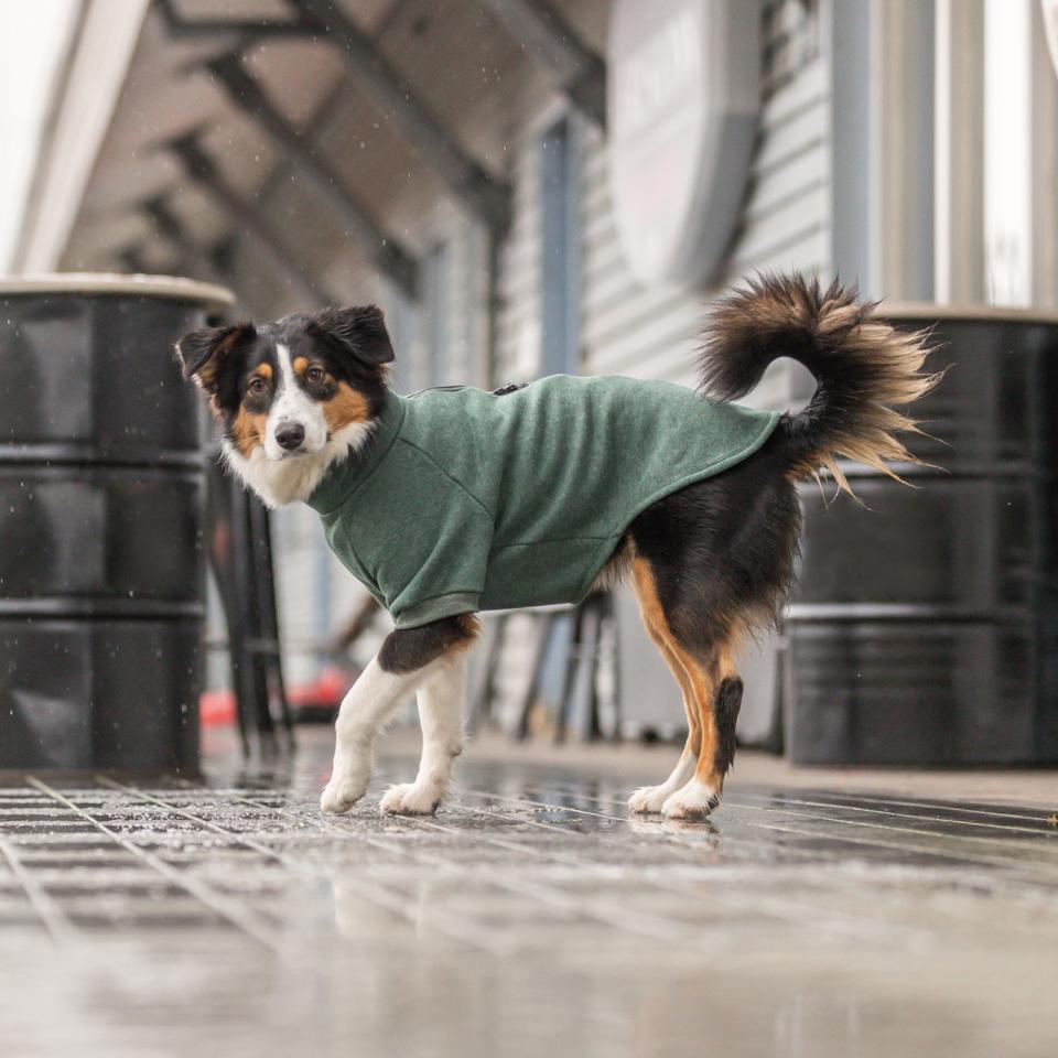 Trixie CityStyle Amsterdam Sweatshirt für Hunde