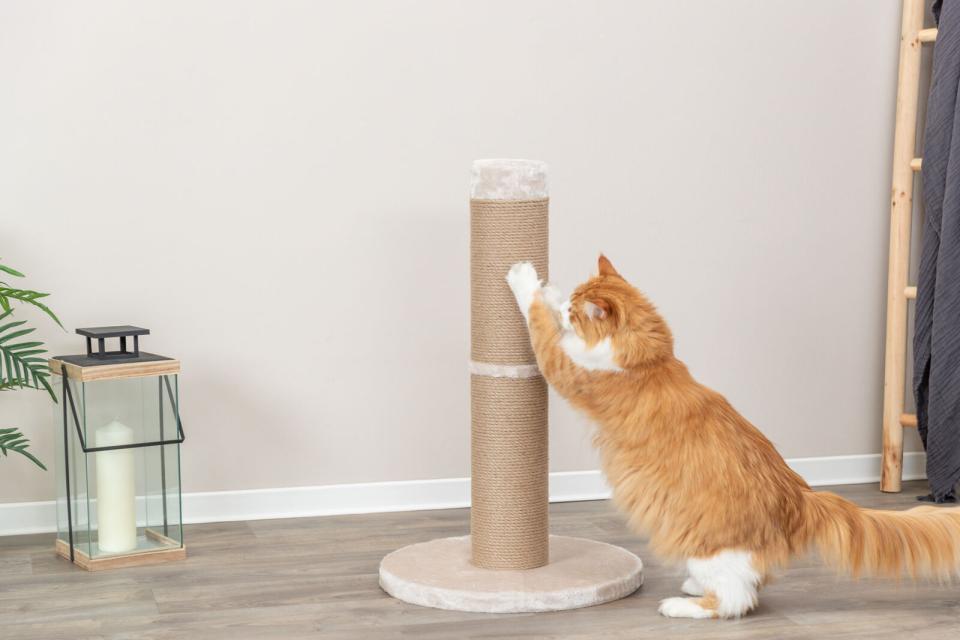 Trixie Rue kradsetræ XXL