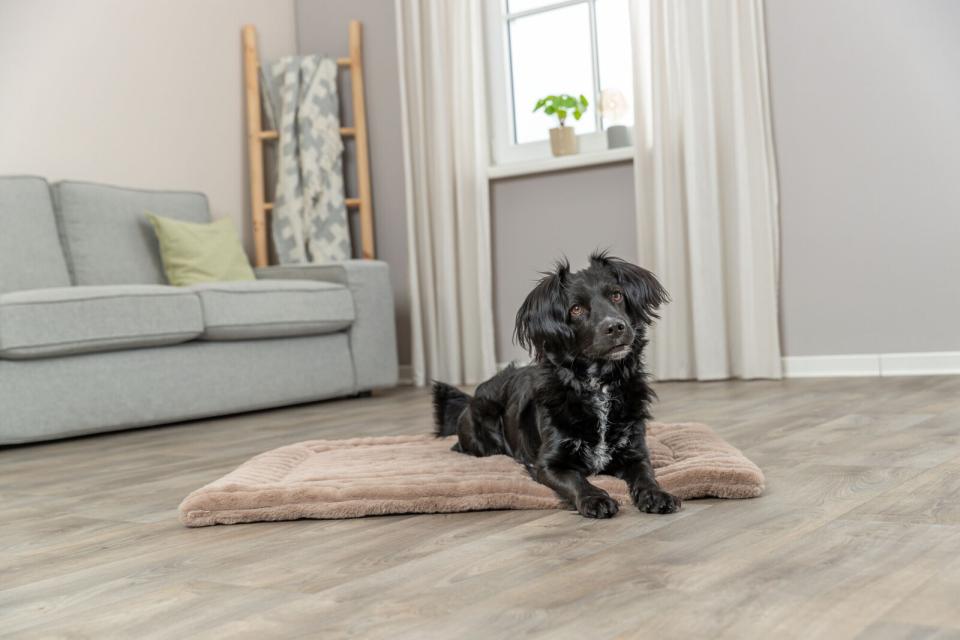 Trixie Lonni liggeunderlag, fløjlsplys