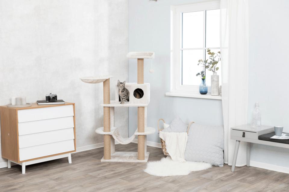 Federico Scratching Post