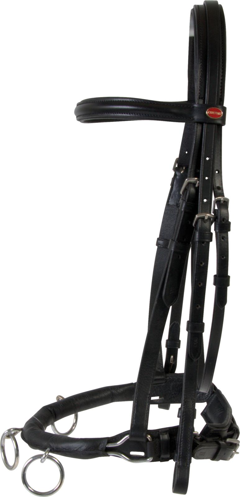 HorseGuard Cheval Lunging Cavesson