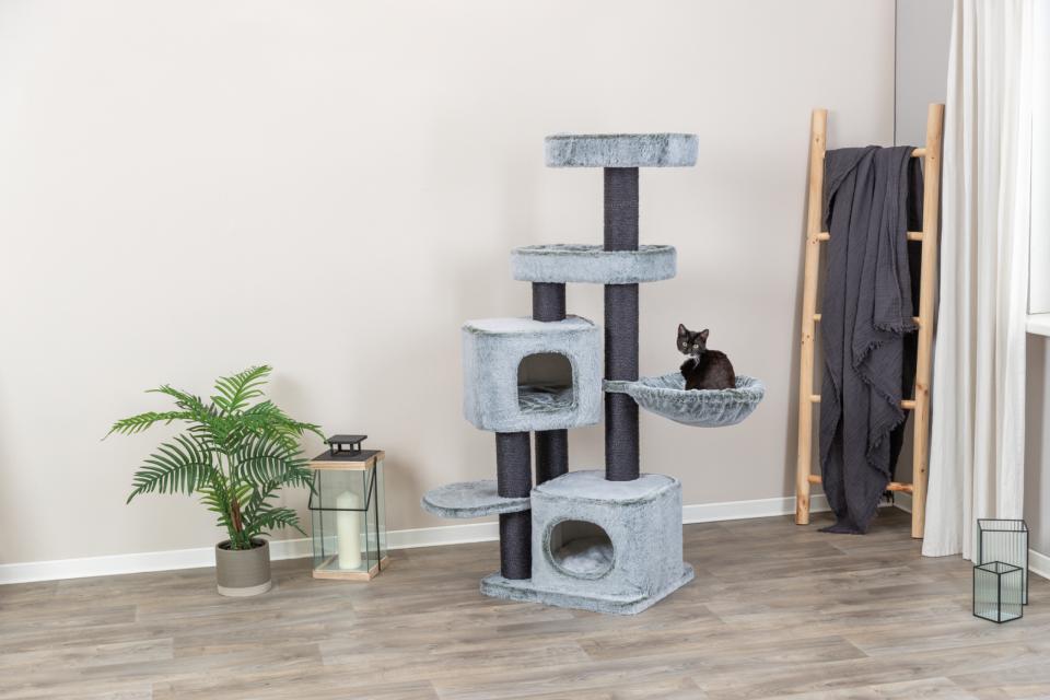 Trixie Miguel kradsetræ