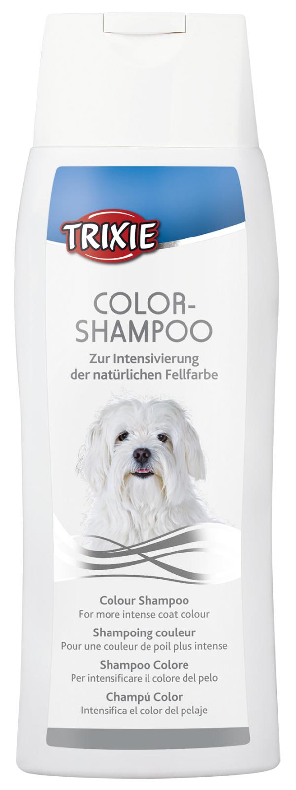 Color-Shampoo