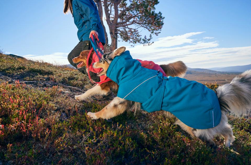 Hurtta Expedition Parka II dog rug