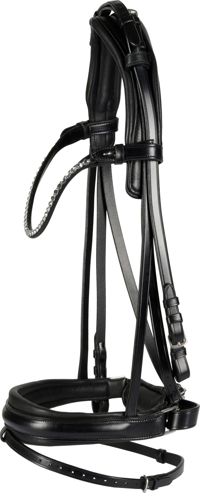 CATAGO Savi bridle w/ flash & pullback