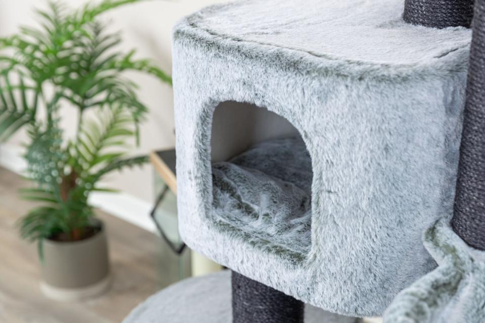 Trixie Miguel kradsetræ