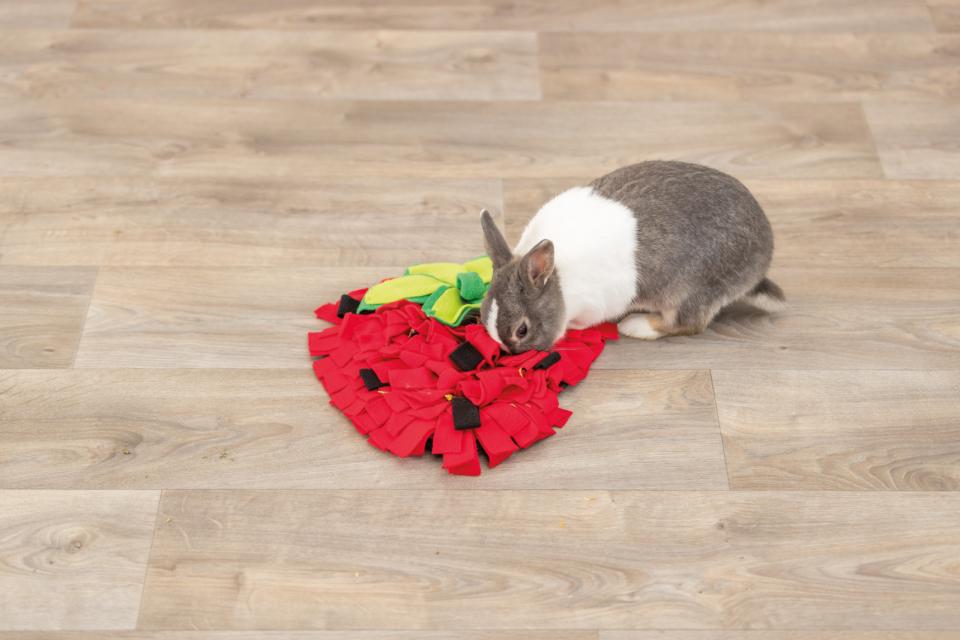 Trixie strawberry sniffing carpet for rodents
