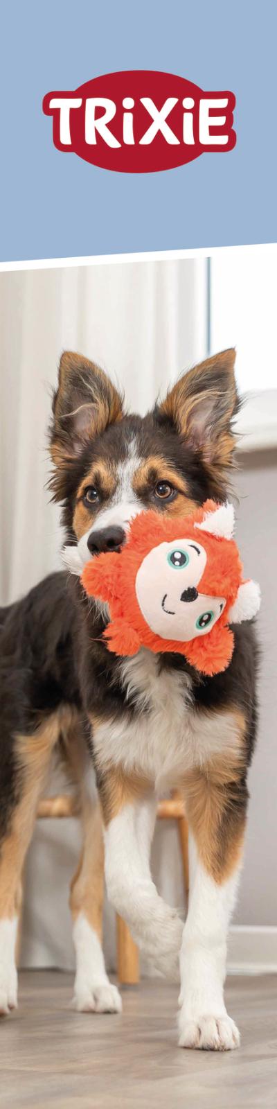 Banner Hundelegetøj