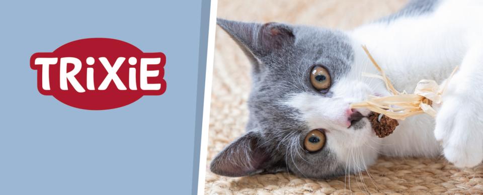 Magnet skilt t. Tego reol kattelegetøj