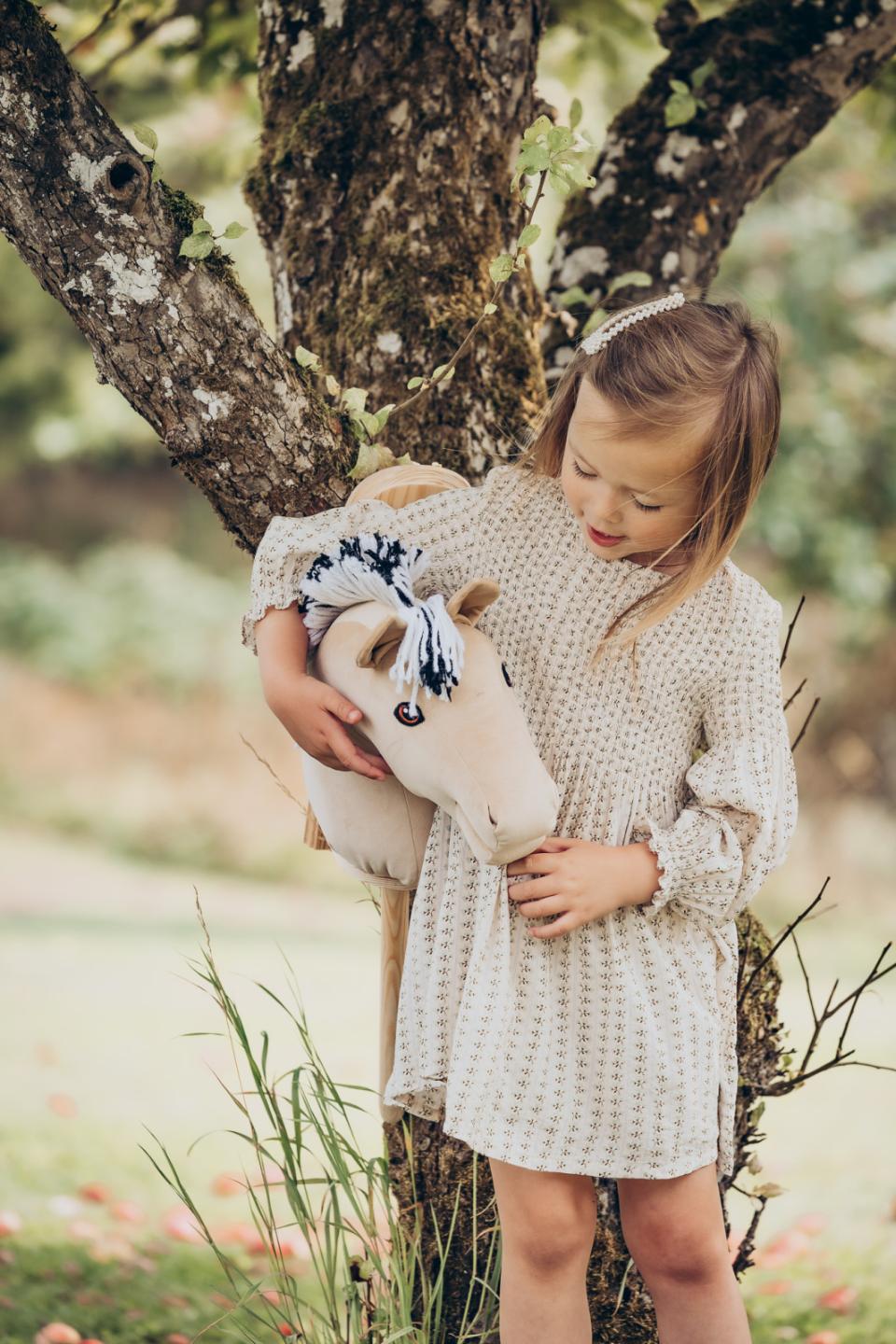 My Hobby Horse Käpphäst Fjord