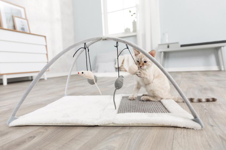 Krædsemåtte med legetøj