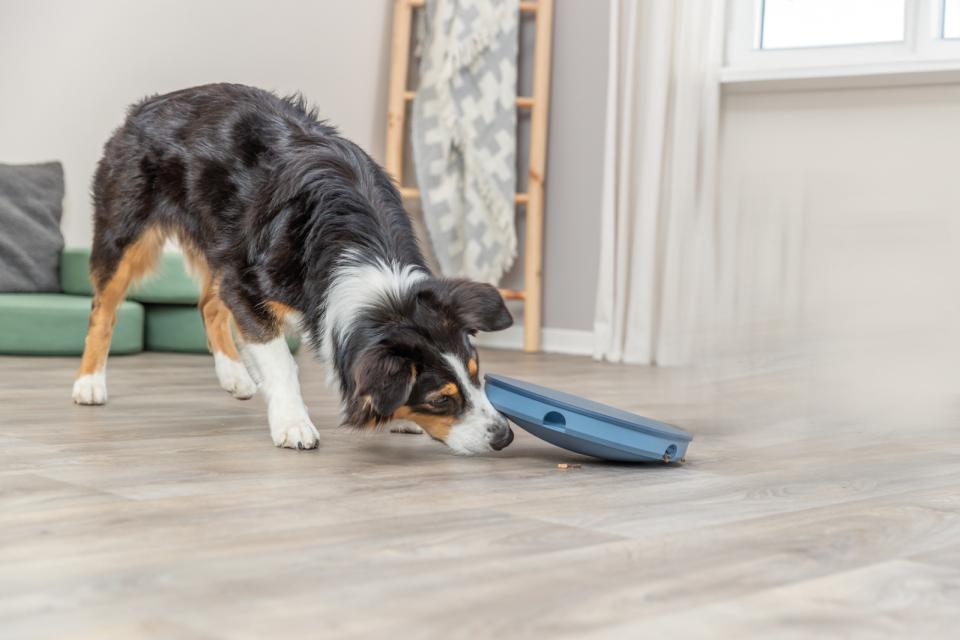 Trixie Dog Activity Rocking Maze, plast