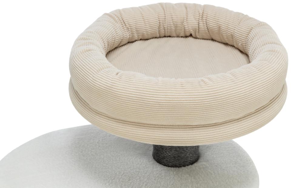 Trixie Marco scratching tree